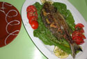 Sifnos Kafenés - grilled fish